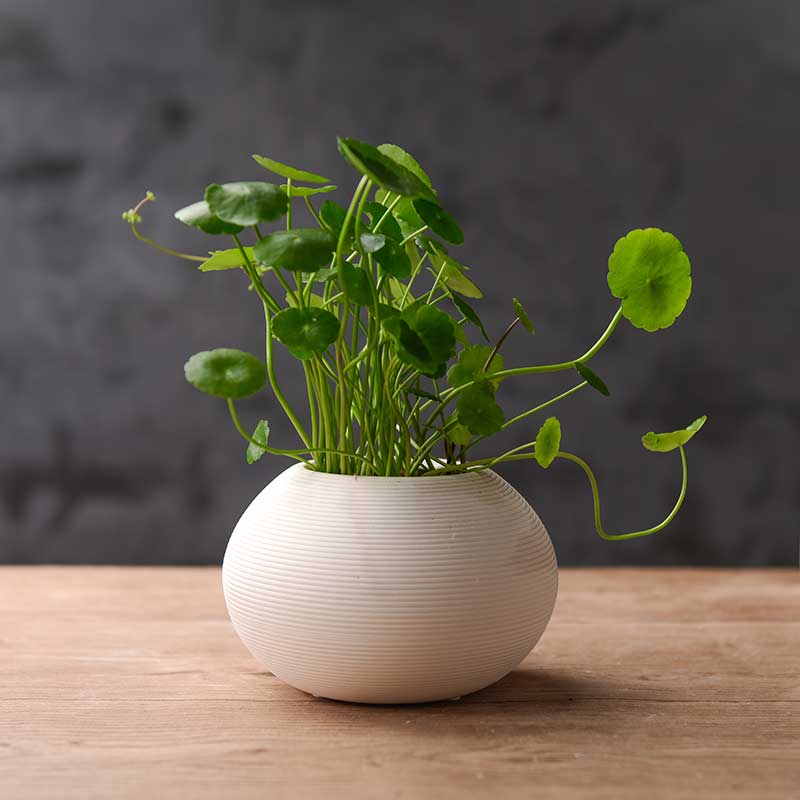 �����ֱ�ŷ�ִ���Լ�մɰڼ�hp_sb001