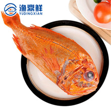 新西兰橙鲷鱼500-700g/条长寿鱼南极洲水域冷冻鱼