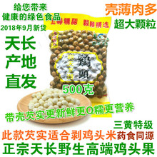 2018安徽天长野生鸡头果三黄特级新鲜带壳芡实果鸡头米500g满3包