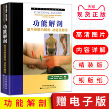 9787543331822 肌与骨骼 解剖功能及触诊 天津科技翻译 功能解剖 汪华侨 正版现货 肌肉功能解剖学书籍