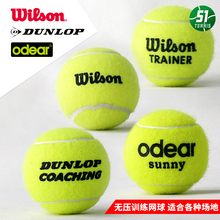 Wilson威尔胜羊毛练习无压训练耐打高弹性比赛网球30个 包邮