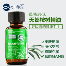 已无货澳洲Thursday plantation星期四农庄纯尤加利桉树精油50ml