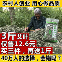 野生艾叶 陈艾草艾叶草 干艾草叶泡脚包泡澡驱寒散湿新鲜艾绒艾条