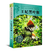 12周岁儿童文学三四五六年级小学生课外阅读故事书 儿童书8 王妃黑叶猴 少儿童文学小说寓言故事 动物小说大王沈石溪品藏书系