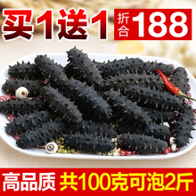 淡干海参干货 野生海参辽参大连刺参礼盒拍5份500g干60头 北海湾