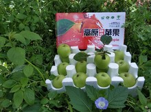 大凉山盐源苹果青苹果金帅野生丑苹果孕妇水果新鲜苹果西昌青苹果