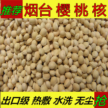 护颈助睡眠 散装 包邮 枕头填充物按摩硬颈椎枕料 大小粒樱桃核 5斤