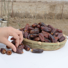 沙漠玉珠迪拜阿联酋大黑椰枣特级原味500g干果新疆大枣蜜枣零食