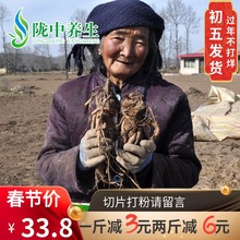 当归500克g 包邮 岷县农家当归片全当归粉无硫新货非野生党参黄芪
