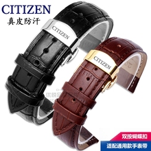 22mm男女 CITIZEN西铁城光动能真皮牛皮手表带蝴蝶扣16