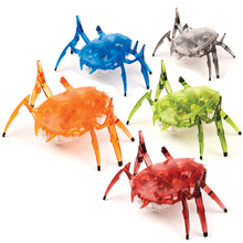 美国赫宝HEXBUG蜘蛛圣甲虫儿童智能玩具电子机器电动机械昆虫男孩
