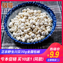 包邮 9.9 四川纯农家种植川贝母川贝粉中药材品质野生松贝30g或50g