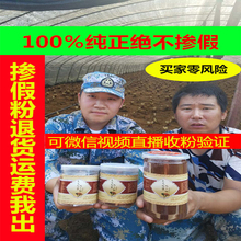 东森奇域 长白上头道破壁灵芝袍子粉灵芝孢子粉林芝狍子粉保真