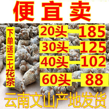20头30头40头60头三七500g特级 云南文山三七正品 包邮 三七 1斤