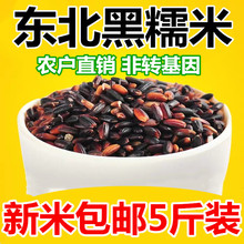 包邮 黑糯米血糯米紫糯米5斤装 全场农家自产五谷杂粮粗粮非黑米