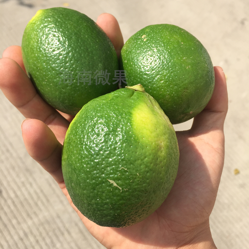 海南甜橙理财活期宝易方达【加▃威信Q同号:4