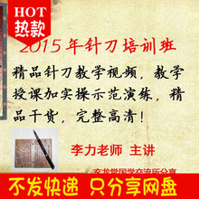 2015年针刀培训班李力针灸针刀小针刀视频教程中医教程教学视频