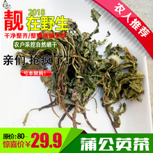 新货野生蒲公英根花茶新鲜婆婆丁蒲公英根茶纯天然特级500g包邮