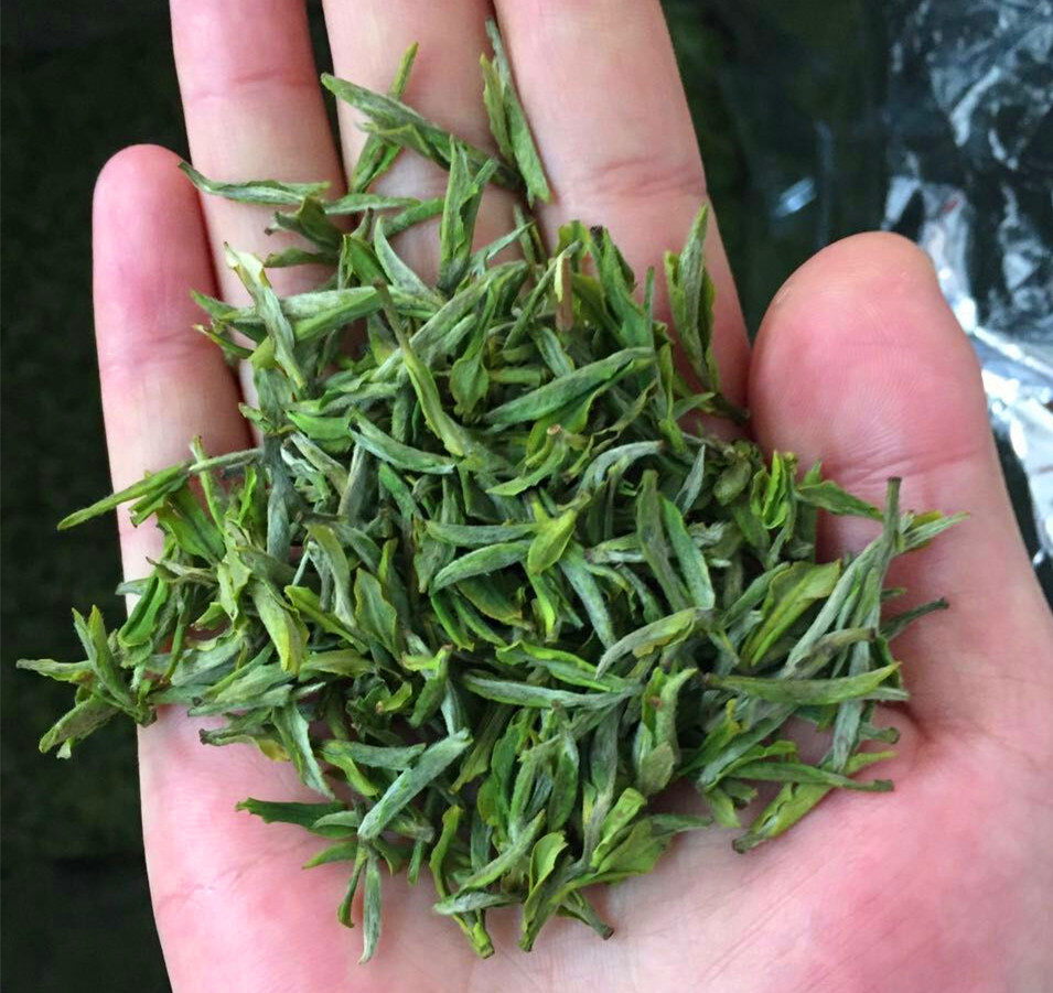 礼盒装包邮500g新茶上市特级明前春茶高山茶叶峦泡2017霍山黄芽