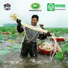 洪湖泡藕带泡椒藕尖酸辣味藕肠子下饭菜泡菜酸辣藕带湖北特产