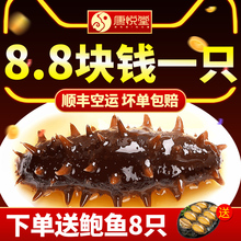 海渗礼盒非干货单个装 康悦堂即食海参大连野生辽刺参500g鲜活特价