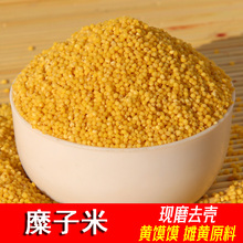 蒸黄米饭 陕北农家硬大黄米糜子米 黄馍馍2500g