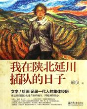 杂文 正版 日子 邢仪 电子工业出版社 我在陕北延川插队