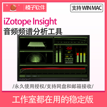 WIN MAC 插件 音频频谱分析 VST 响度测量 iZotope.Insight