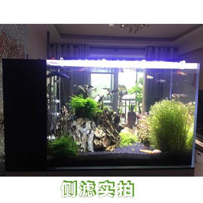 侧滤金晶超白鱼缸客厅小型桌面懒人免换水智能生态水族箱玻璃金鱼