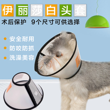 伊丽莎白圈宠物猫咪狗狗幼猫伊利沙白圈狗套头脖套狗用大型羞耻圈