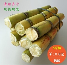 新鲜水果广东水果特产非黑皮甘蔗 黄皮甘蔗 包邮 5斤装
