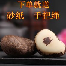 高密天然象牙果原籽大中小果雕刻原料黄白原果菩提精选像牙果原果