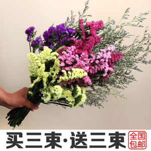 云南勿忘我干花花束情人草花艺插花客厅装饰diy包邮