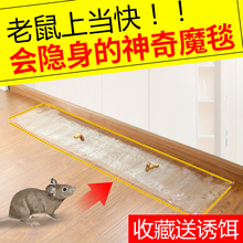 老鼠贴强力粘鼠板家用老鼠胶捉抓扑灭大老鼠药捕鼠神器老鼠笼子