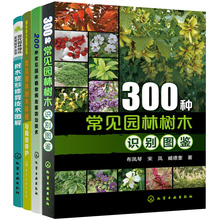 园林绿化 树木整形修剪技术图解 300种常见园林树木识别图鉴 常见园林树木移植与栽培 200种常见园林植物病虫害防治技术 全4册