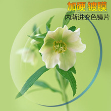 内渐进多焦点镜片 AN内渐进多 智能变焦 近视老花散光变色眼镜片
