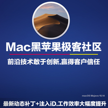 黑苹果PC联想戴尔惠普华硕安装 Mac10.14.6原版pc单双系统远程服务