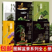 包邮 图解树木山水附石盆景制作与养护等 盆景书全套6册 正版 盆景造型设计书栽培技术入门教程中小型花卉盆景制作教材书籍福建科技
