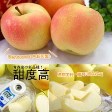 日本青森水蜜桃水果进口苹果山东烟台当季阿克苏约23个中果