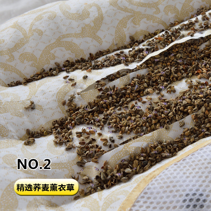 �����������ͷBT-0881