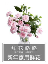 团上鲜花 自产自销家用鲜花送母亲多头控塑跋驶ㄐ孪手迸基地