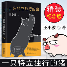 大多数 王小波时代三部曲 一只特立独行 沉默 王小波 王小波全集 正版 逝世二十周年精装 纪念版 王小波杂文精选集 包邮