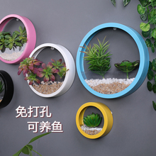 饰挂件花盆 创意餐客厅房间装 饰品仿真绿植物墙面上墙壁装 可水培