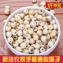 2018湖南省特产南北干货农家手工 磨皮莲子去芯 500g包装全店包邮
