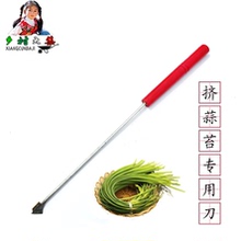 划蒜苔抽拔器 蒜薹收割收货工具 包邮 挤蒜苔剥蒜苔器 蒜苔收割刀