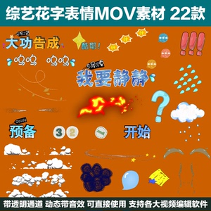 综艺节目特效字幕pr品牌店铺