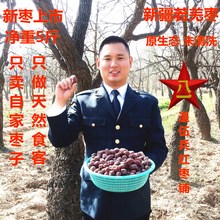 新枣【实惠5斤装】原生态一级新疆若羌灰枣红枣 36团未清洗吊干枣