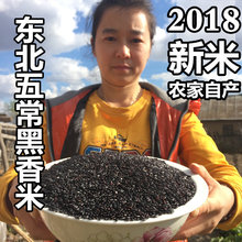 2018新米东北五常黑香米农民直销原生态黑大米非转基五谷杂粮500g