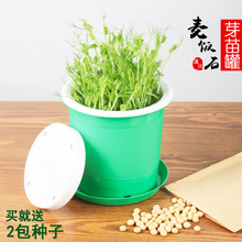 生豆芽罐 家用生豆芽机 塑料豆芽罐豆芽菜种植桶绿豆黄豆芽包邮