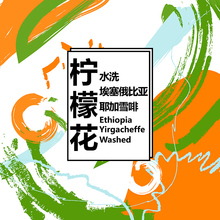 19产季埃塞俄比亚水洗耶加雪菲柠檬花新鲜烘焙精品手冲咖啡豆200g